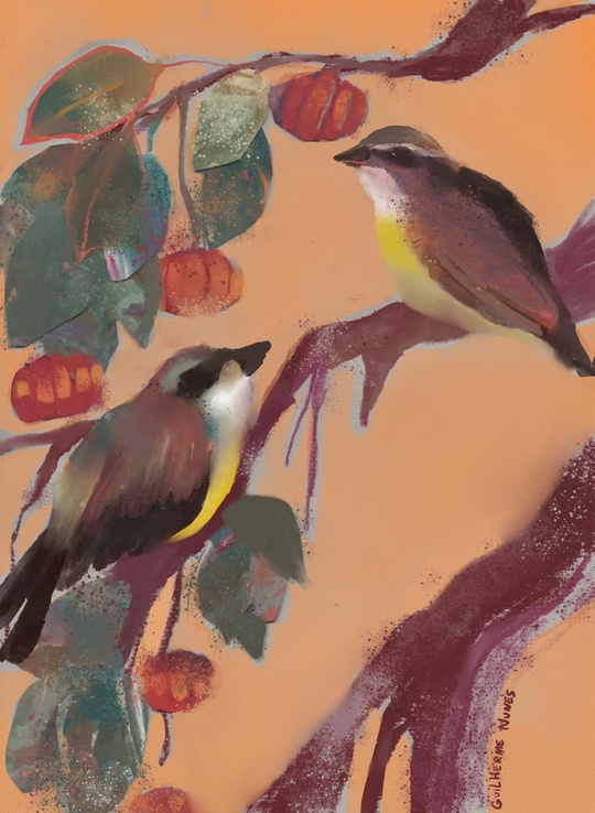 Guilherme Nunes tweet media