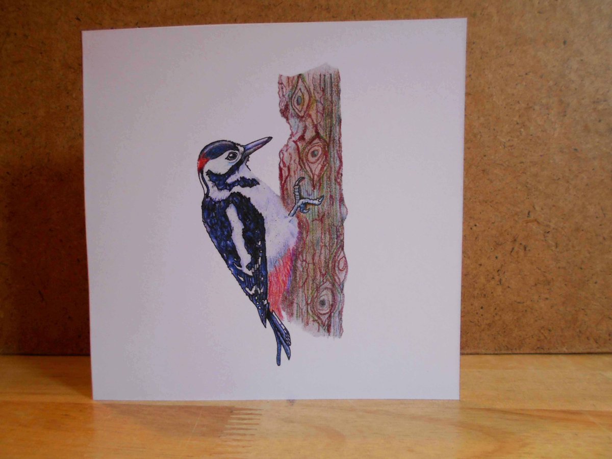 SDCards7's tweet image. Morning, everyone ☺
I've one 'Woodpecker' card available at discount.
Ideal to frame as mini art! 
sthdifferentcards.etsy.com/listing/569018… #earlybiz #shopindie #nature #greetingcard