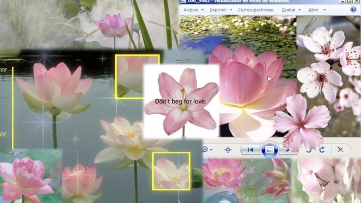 ؘ⠞⡷✤ vai ver o enha! tweet media