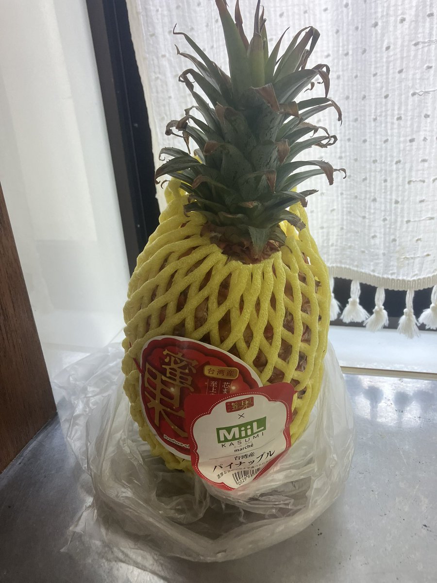 はとむぎ tweet media