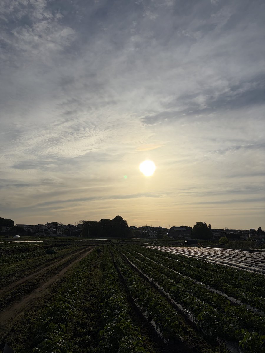 Wildflower🌺 tweet media