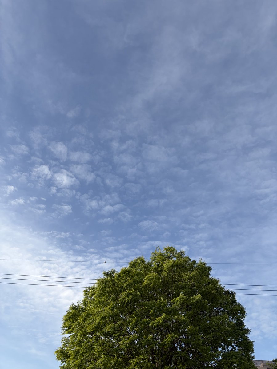 Wildflower🌺 tweet media