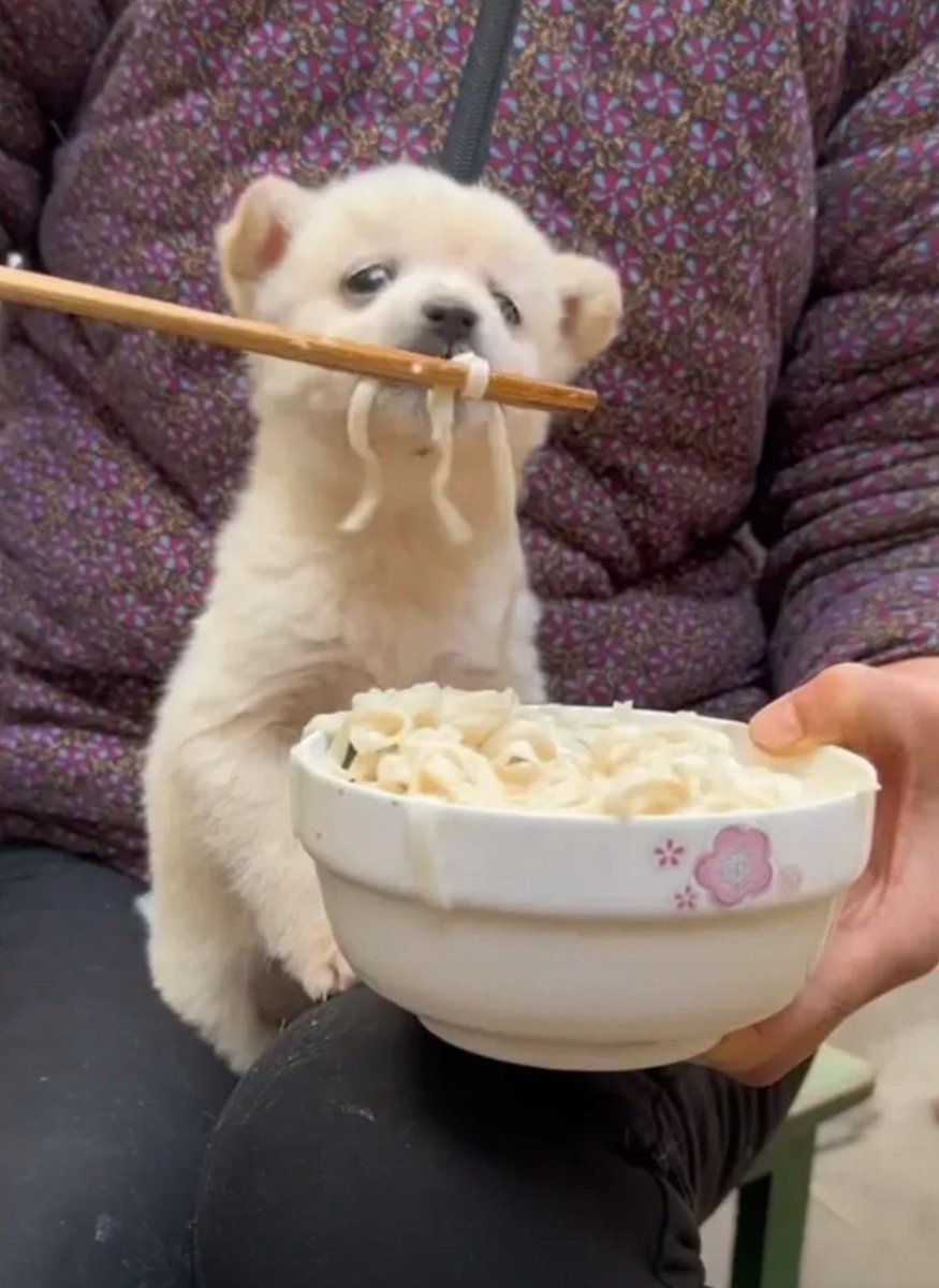 stefano ruggeri tweet media