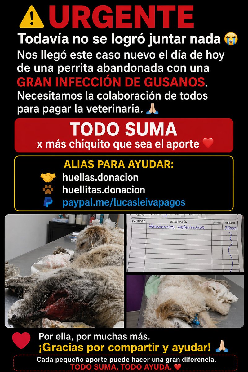 Lucas⭐⭐⭐ tweet media