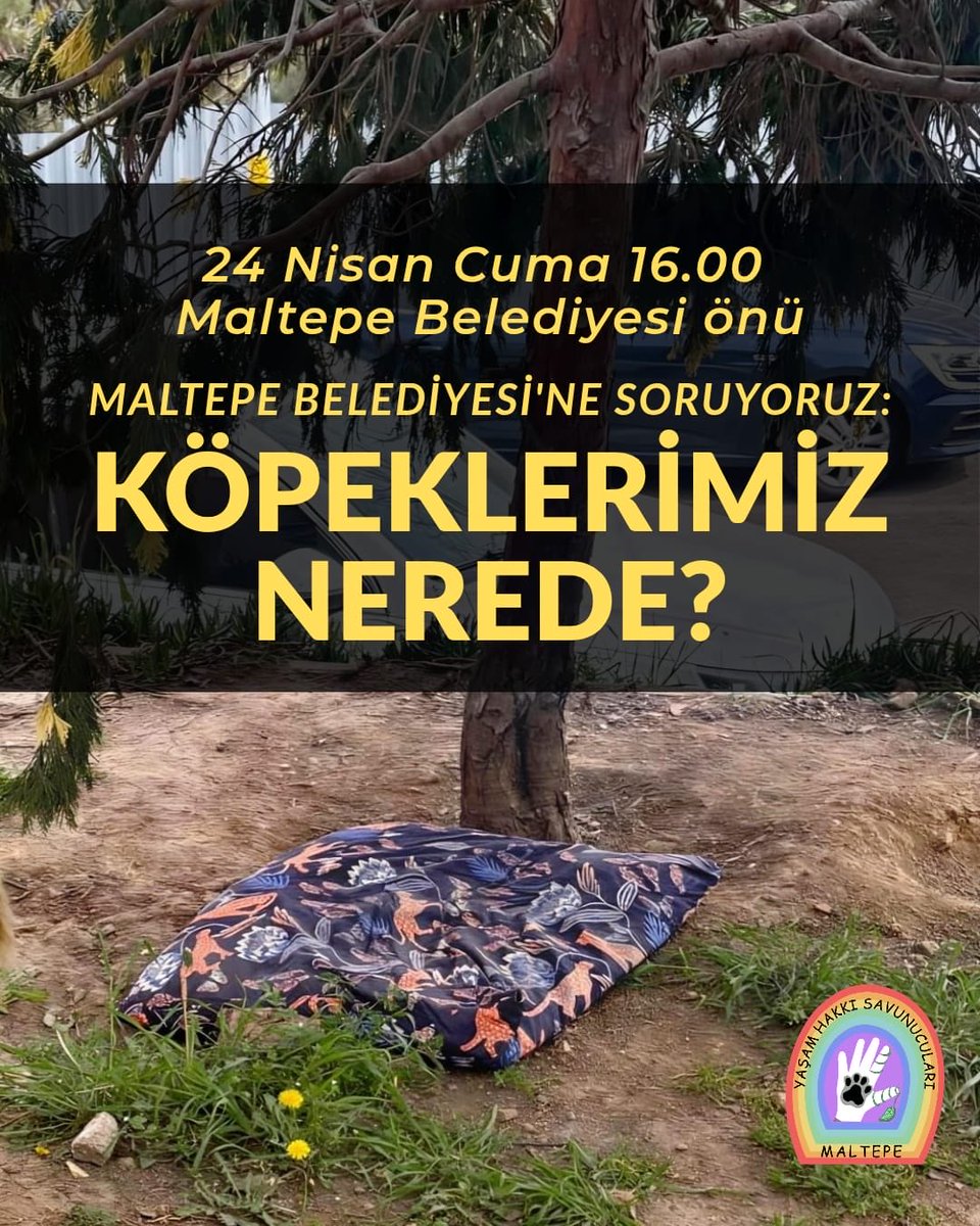 Maltepe Yaşam Hakkı Savunucuları tweet media