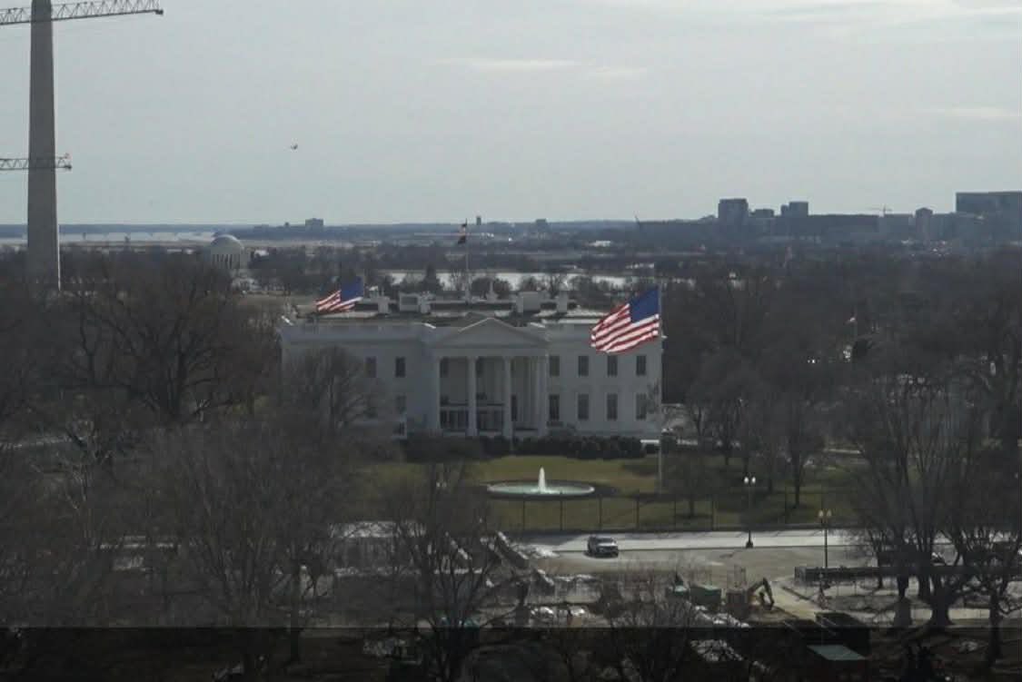 Q ™️ tweet media