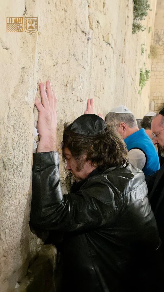 Zvika Klein צביקה קליין tweet media