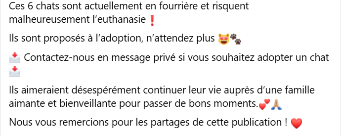 Ils sont à l'ADOPTION en Bretagne dans les departements 56 et 22.
Contact : Urgences fourrières de Bretagne