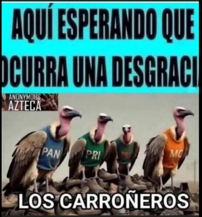 Daniel903953228's tweet photo. @QuintanaRuben4 Carroña a la vista https://t.co/YtkYE9op16