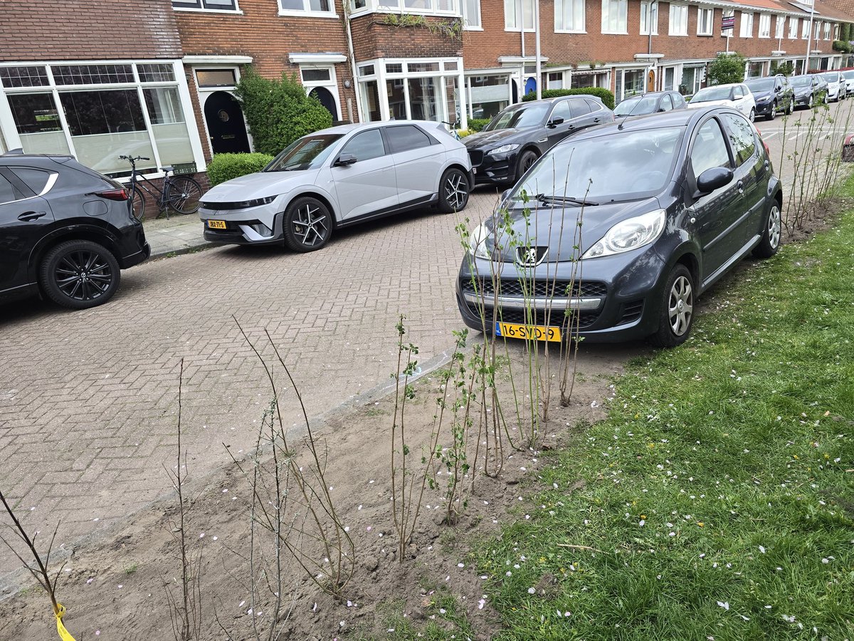 Dan zet je de struikjes toch gewoon om de auto heen!
#Julianaweg #Hoograven