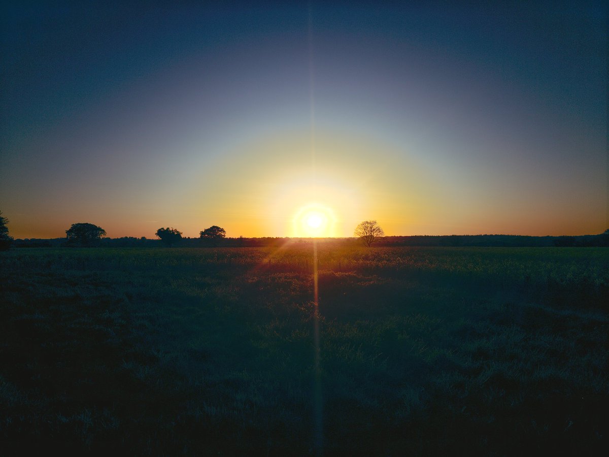 mrsdp8's tweet image. Tonight's sunset photo. #NorfolkSunset #sunset #sunsets #sunsetphotography #nature #NaturePhotography #Norfolk #photography #outdoors #photo #naturescenery #naturetwitter #outdoors #ThePhotoHour #TheStormHour #walk #countryside #NorthNorfolk #Norfolk
