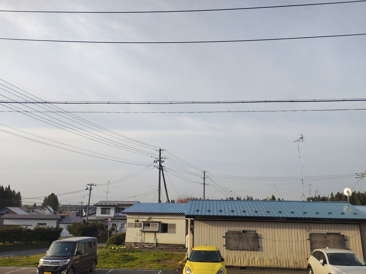 𝐺𝑜𝑜𝑑 𝑚𝑜𝑟𝑛𝑖𝑛𝑔︎ ☕️🍃
⛅️薄曇り いや☀️晴れています
とにかく🍃🌀🍃風強い！
🚨暴風警報出てた‼️
お天気☀️時々☁ 最高気温20℃
🏜黄砂で遠くが霞んでます

今日は水曜日 週中日です
本日から通常健診業務開始します
少し気を引き締めていきます
🌸散り始めました
良き一日でありますように🍀