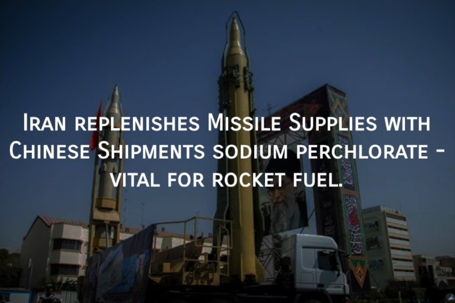 Michelle Rainer tweet media