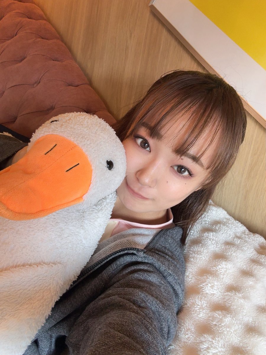 長谷川想乃🍏🌱キプリスモルホォ tweet media