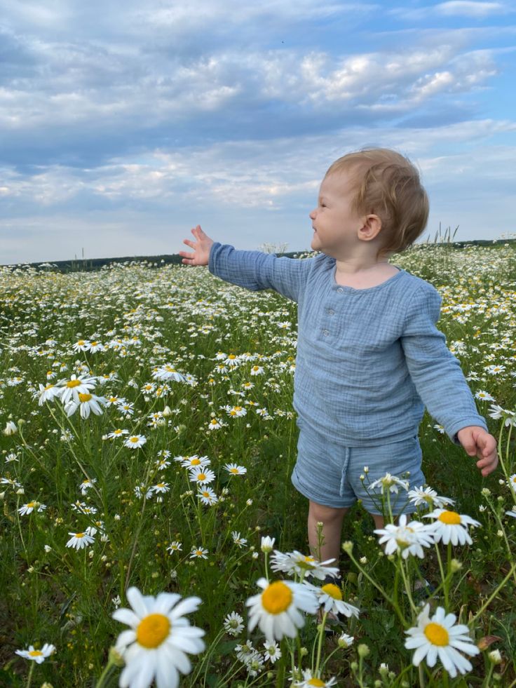 birterapi tweet media