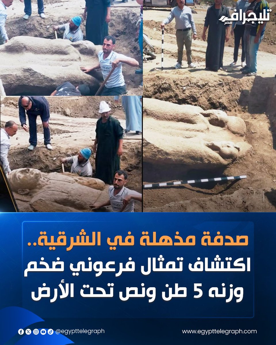 Egypt Telegraph - تليجراف مصر tweet media