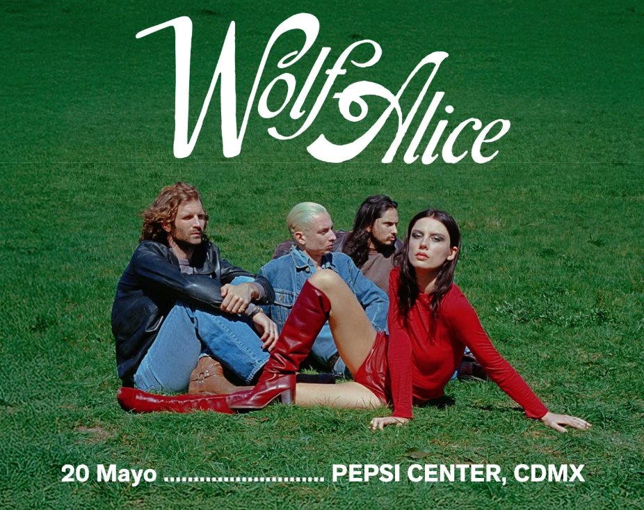 Digger.mx tweet media