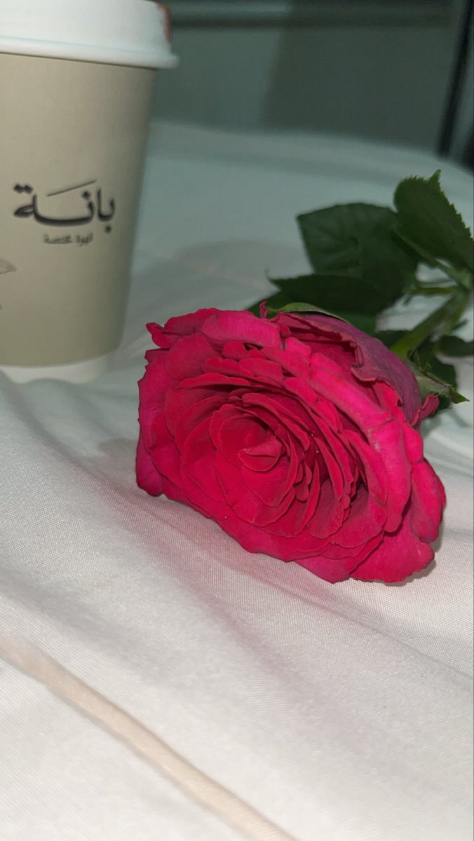 لو كسبت الكل .. ما عندك أنا📩