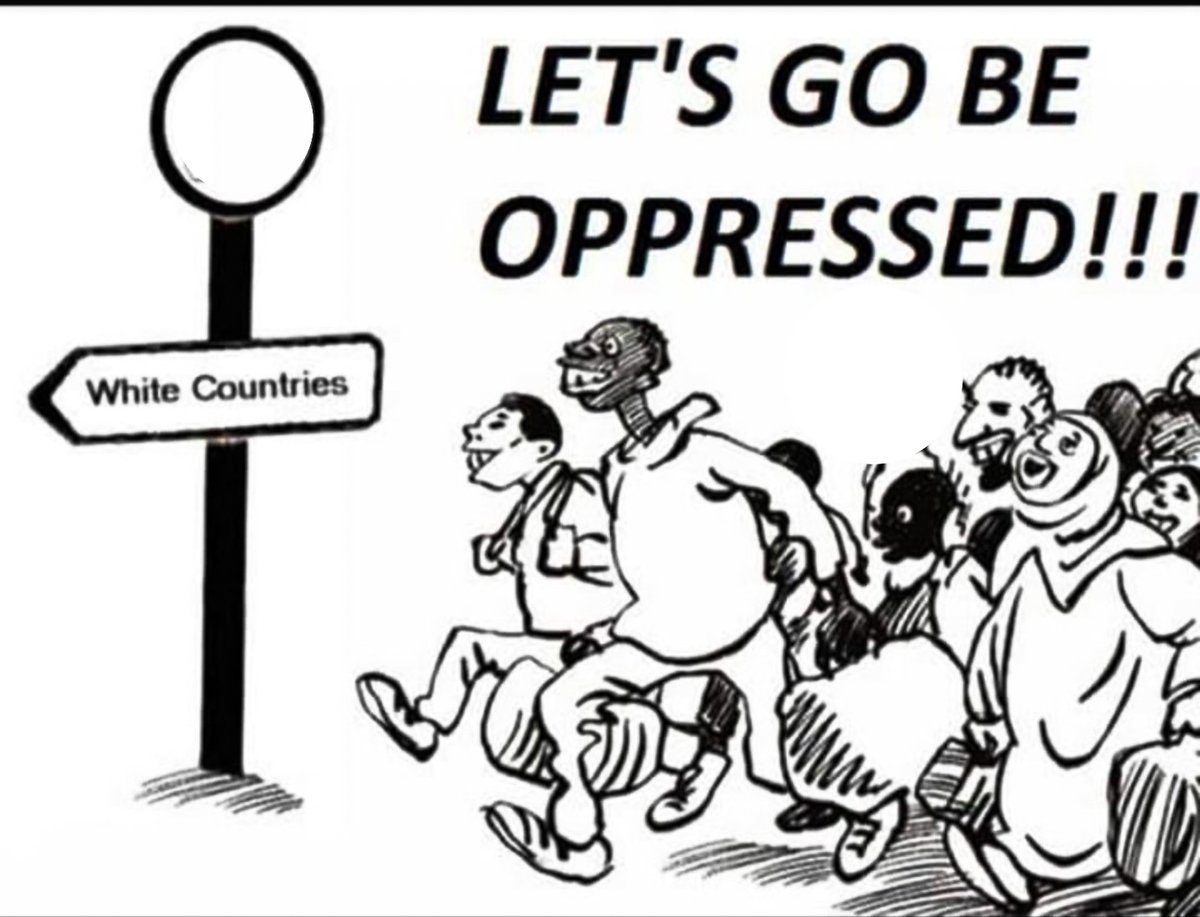 Noordwachter🇳🇱 tweet media