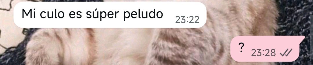 garu🐁 tweet media