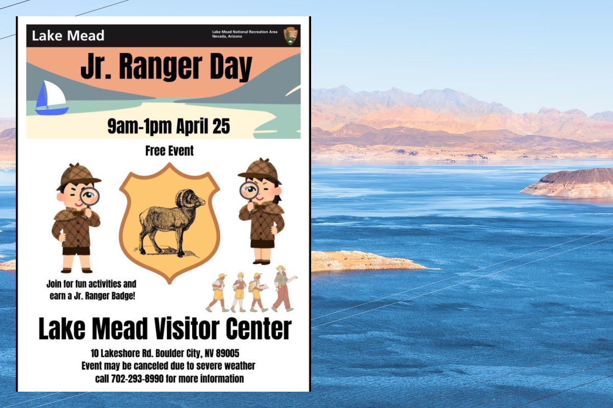 Boulder City Social tweet media