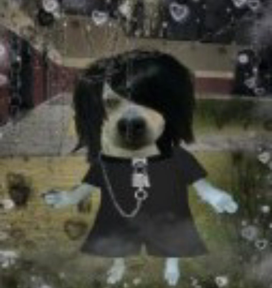 gaBi linda tweet media