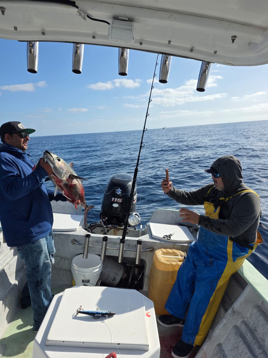 Porfirio León tweet media