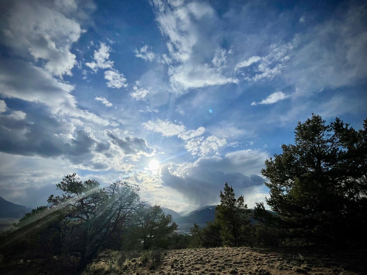 chaffeemtndog's tweet image. Loved this perspective on the way back down tonight! #hiking