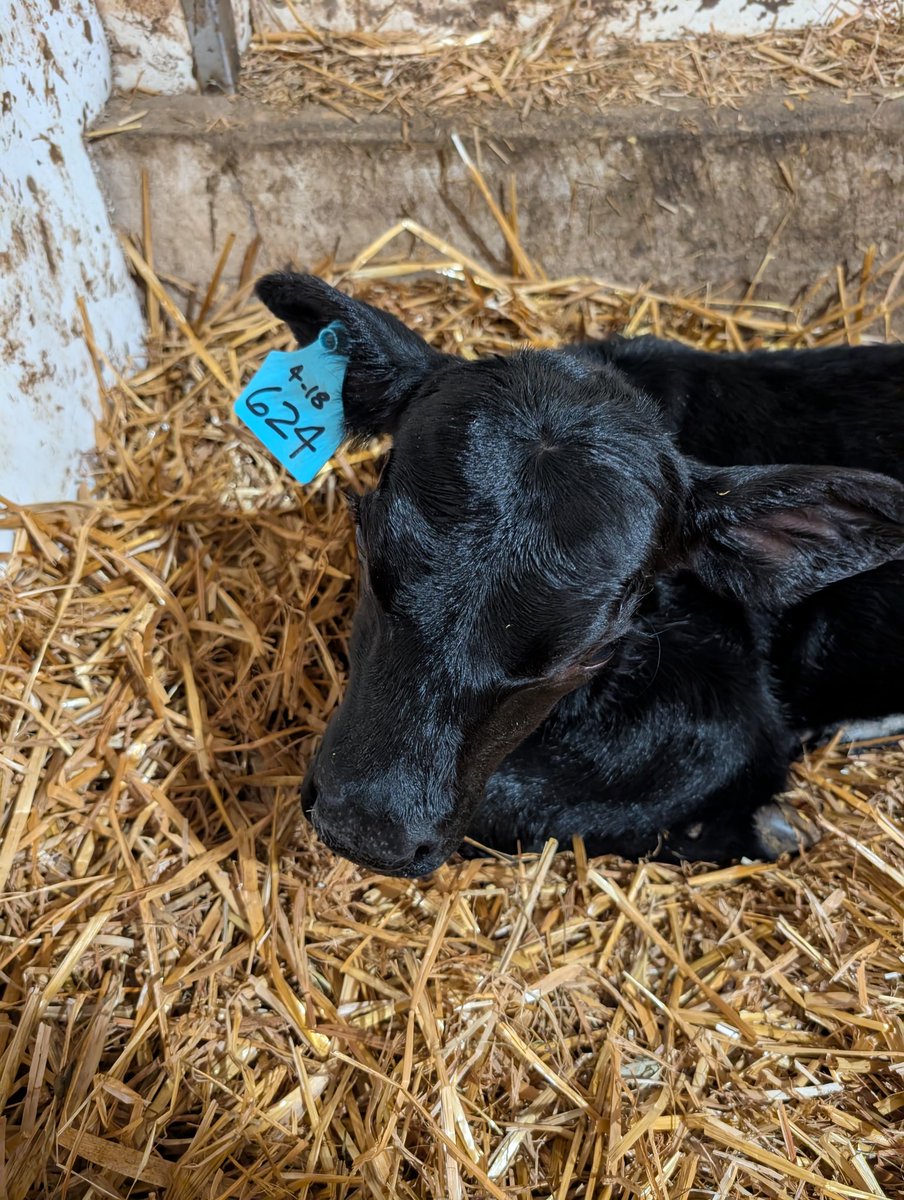 Dirt Turner tweet media