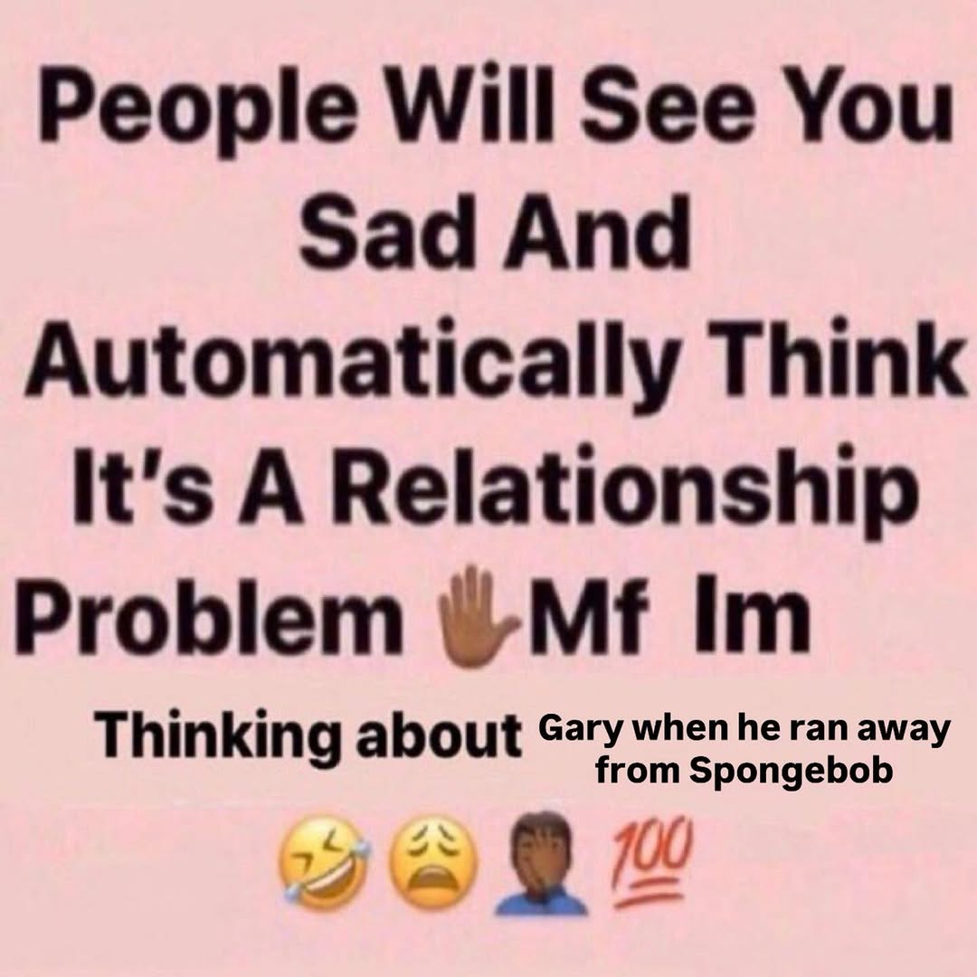 sponge.mp4 tweet media