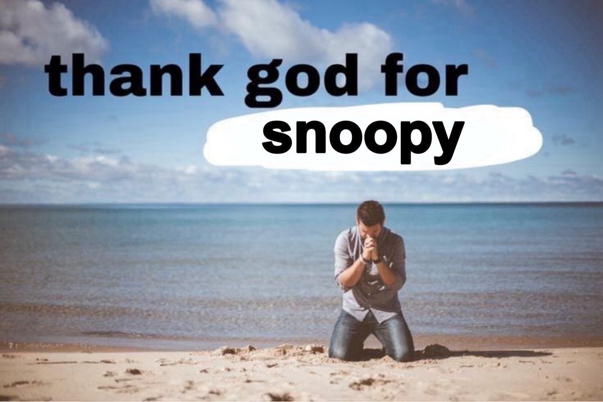 snoopy lover tweet media