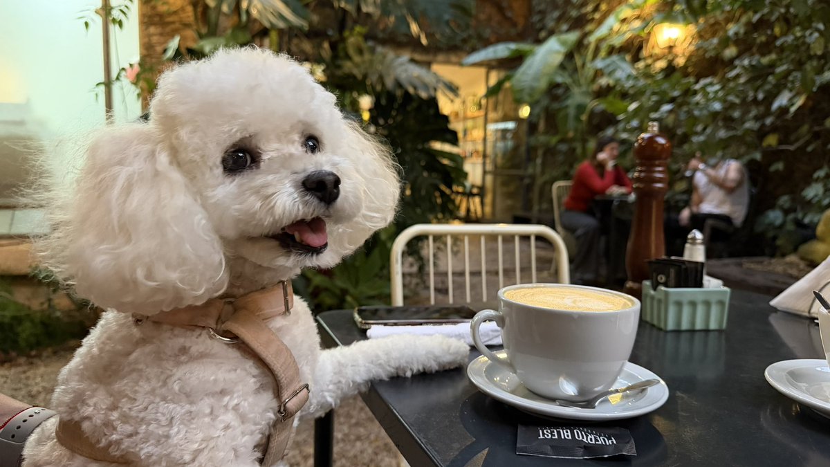 Lady Market tweet media