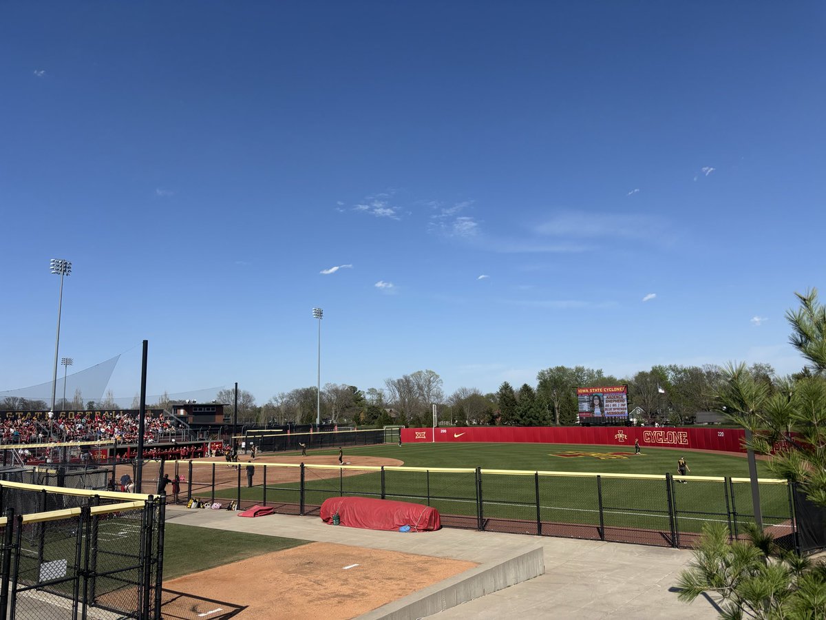 Cy’s Turf tweet media