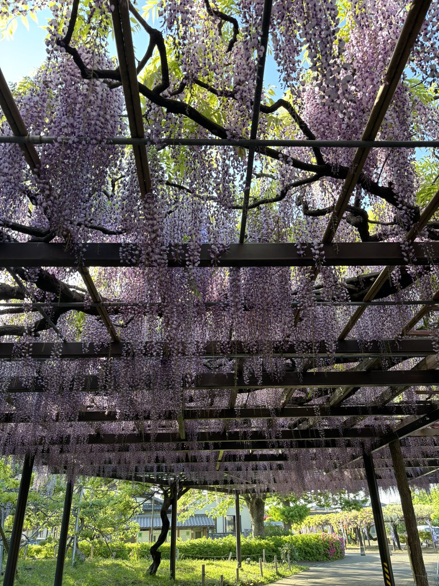 たけちゃん #はにゅはにゅ tweet media