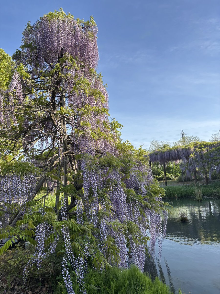 たけちゃん #はにゅはにゅ tweet media