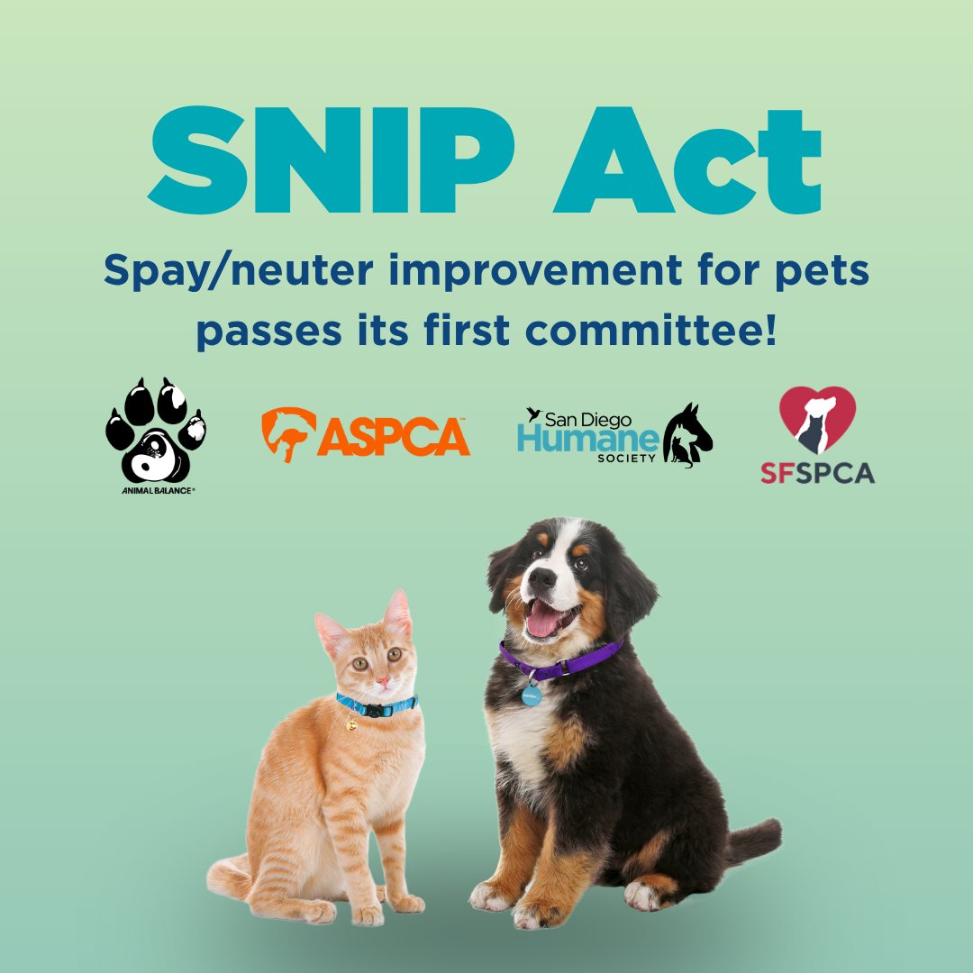sfspca's tweet photo. Great news! The SNIP Act, an animal welfare bill co-authored by @AsmSoria and @Scott_Wiener and sponsored by the SF SPCA, passed an important committee vote today. This bill will allow for the operation of pop-up veterinary clinics for high-quality, high-volume #SpayNeuter . https://t.co/RKt7WYPo5P