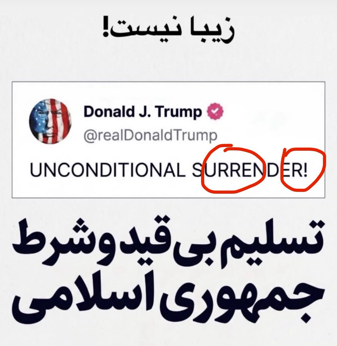 Kermit Forever tweet media