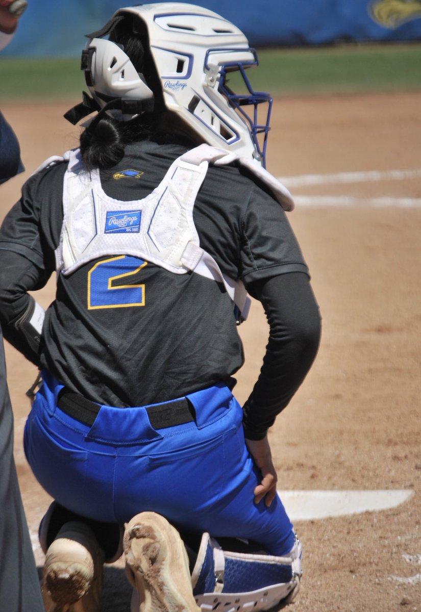 Hocking College Softball tweet media
