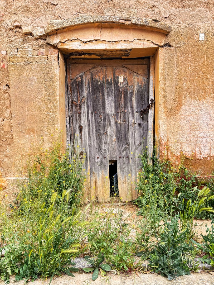 maría 🌾 tweet media