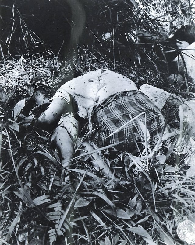 WW2 The Eastern Front tweet media