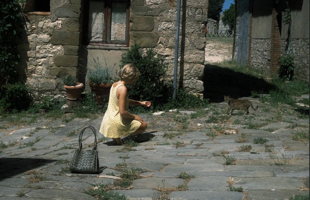 vinny 🐾 tweet media