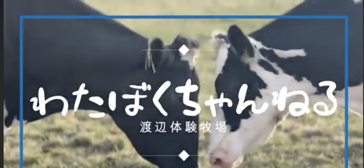 wataiken's tweet photo. YouTube「わたぼくちゃんねる」久しぶりにアップしました💓ほのぼのとした今年の初放牧の様子をご覧ください🐄🐄🐄25日のオープンに向けて準備中😊 https://t.co/dGDLpE7QWr #渡辺体験牧場　#牛のおっぱいミルク #弟子屈 https://t.co/2ZHH4gnsDu