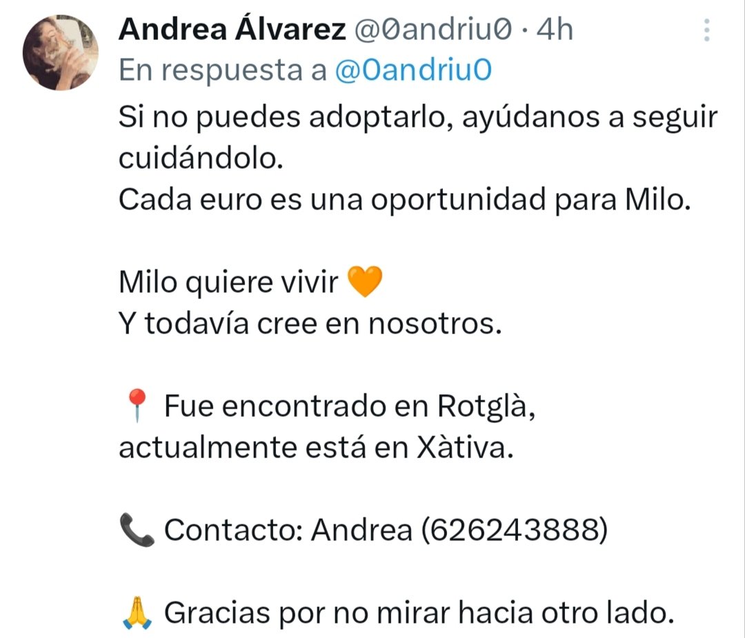 CefiroyCoco's tweet photo. @23andaluza
@Ae_rijeon
@Ainhara69
@AKAKINTSUGI
Lo q le hicieron a #Milo fue una atrocidad brutal 🤬
Encontrado en #Rotgla aunq actualmente está en #Xativa
Ya recuperado y a pesar de lo sufrido es un amor 💕 💕
Busca un hogar verdadero. DIFUNDE 📢📢📢
Información y contacto ⬇️ https://t.co/bvDvSKPoW3