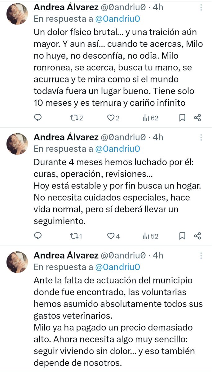 CefiroyCoco's tweet photo. @23andaluza
@Ae_rijeon
@Ainhara69
@AKAKINTSUGI
Lo q le hicieron a #Milo fue una atrocidad brutal 🤬
Encontrado en #Rotgla aunq actualmente está en #Xativa
Ya recuperado y a pesar de lo sufrido es un amor 💕 💕
Busca un hogar verdadero. DIFUNDE 📢📢📢
Información y contacto ⬇️ https://t.co/bvDvSKPoW3