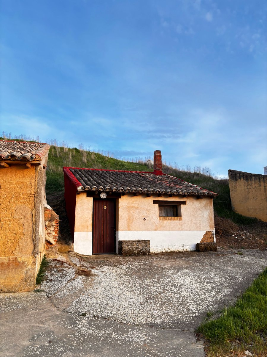 maría 🌾 tweet media