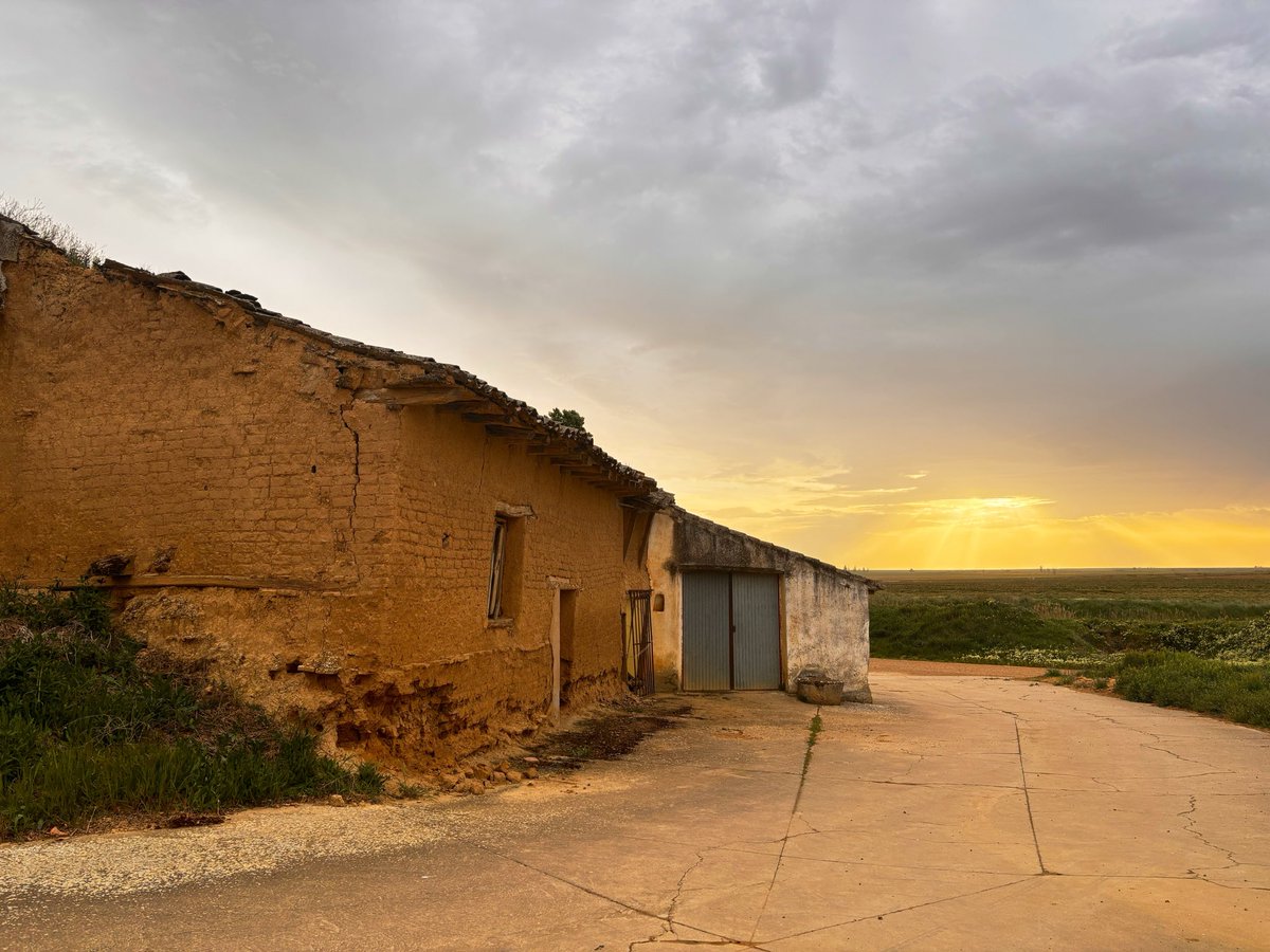 maría 🌾 tweet media