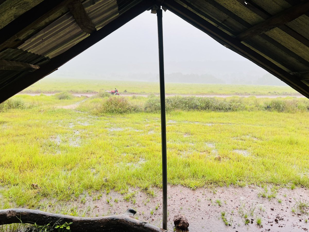 Mamadou Saidou Diallo tweet media