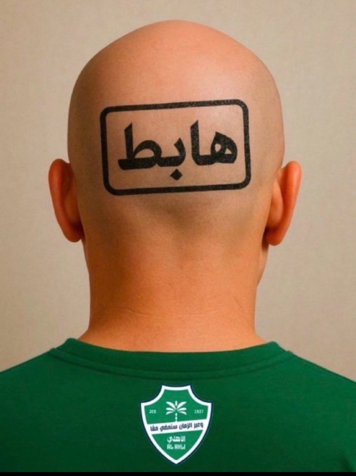 # الهبوط _ أو_النخبة
الهبوط عار لا تمحيه ألف نخبة