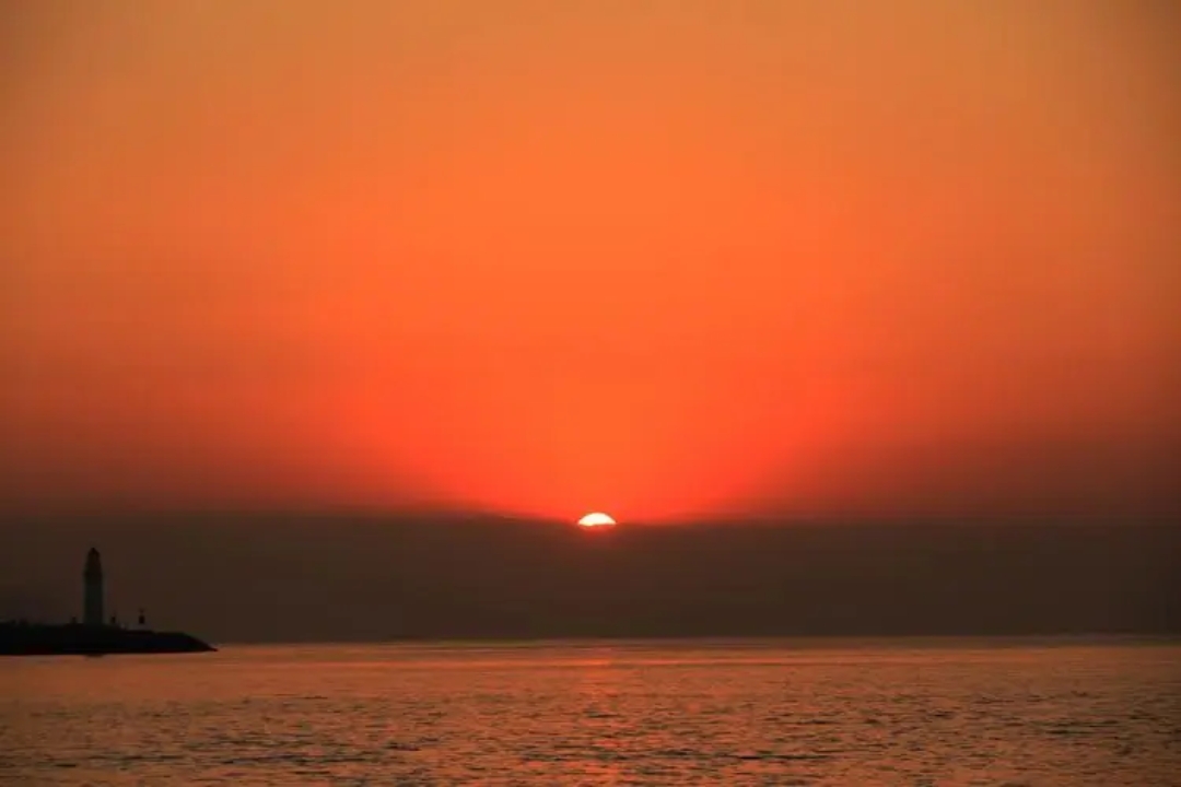 arykovert tweet media