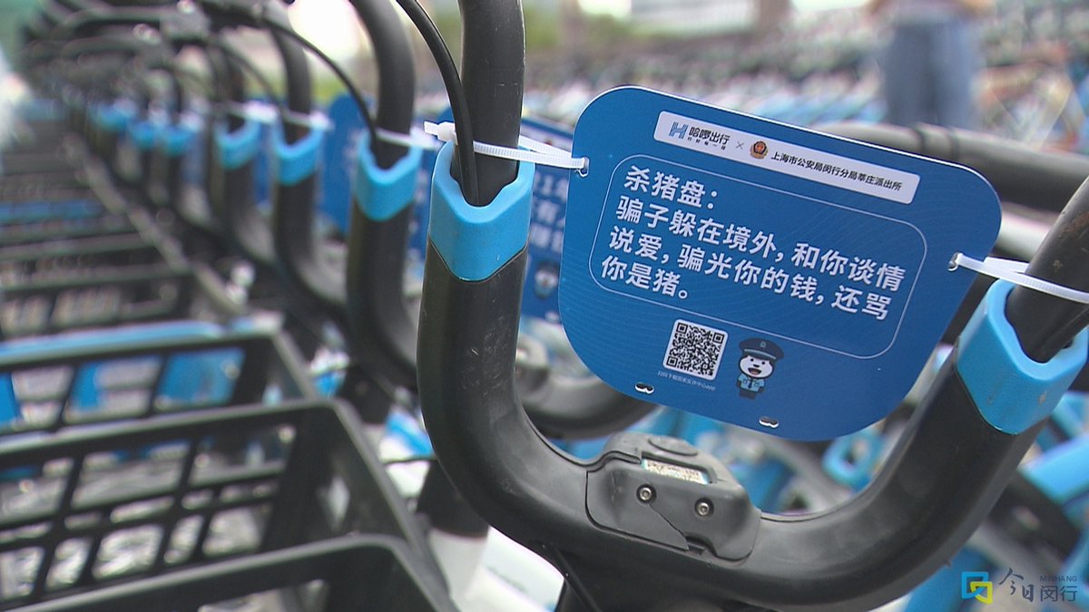 Anke Parijs tweet media